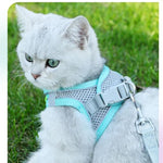 Load image into Gallery viewer, Escape Proof Cat Harness and Leash Set - BestShop

