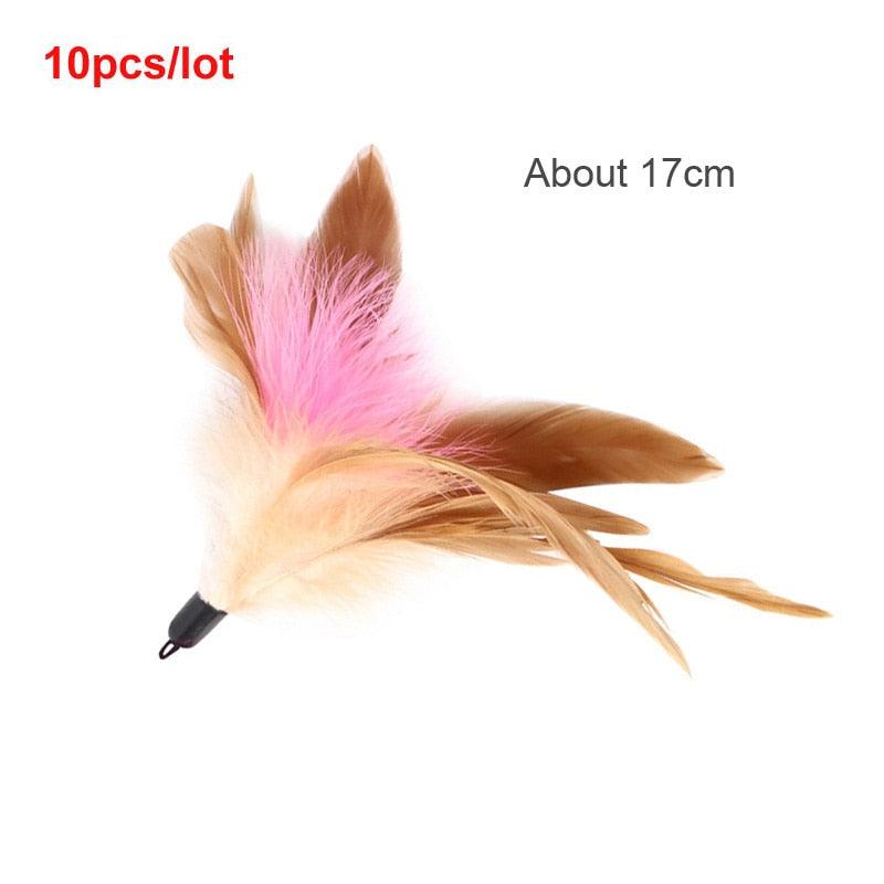 Feather Cat Toys Cats Funny Playing Toys - BestShop