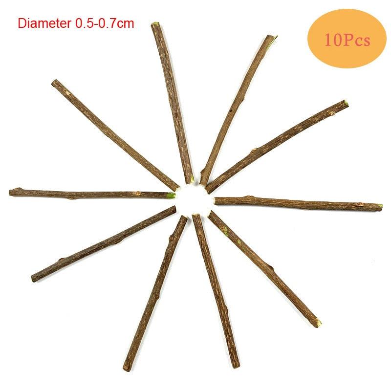 Feather Cat Toys Cats Funny Playing Toys - BestShop