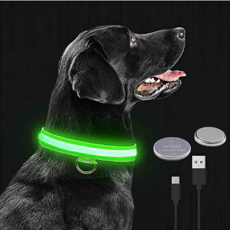 LED Glowing Dog Collar - BestShop