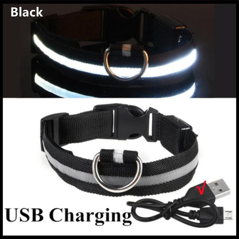 LED Glowing Dog Collar - BestShop