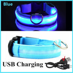 Load image into Gallery viewer, LED Glowing Dog Collar - BestShop
