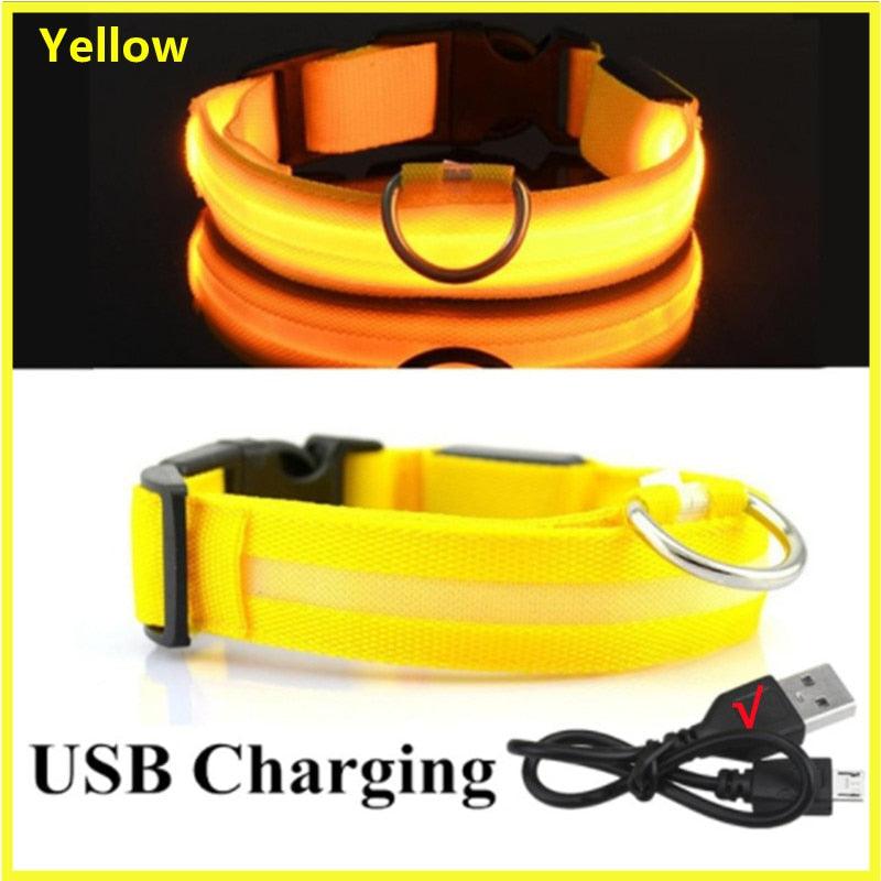 LED Glowing Dog Collar - BestShop