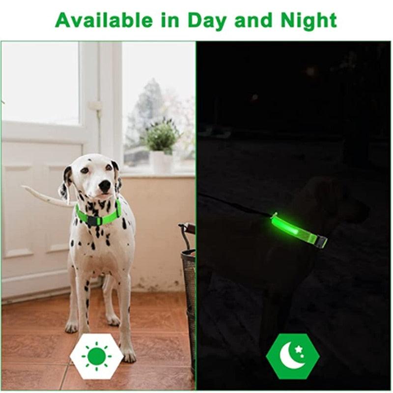 LED Glowing Dog Collar - BestShop