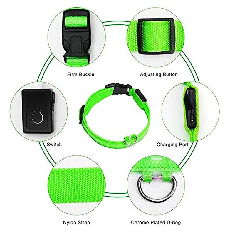 LED Glowing Dog Collar - BestShop