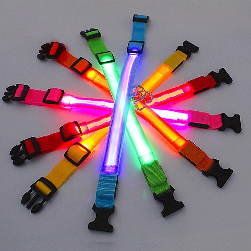 LED Glowing Dog Collar - BestShop