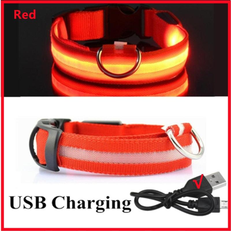 LED Glowing Dog Collar - BestShop