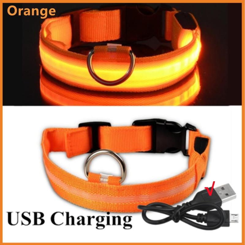 LED Glowing Dog Collar - BestShop