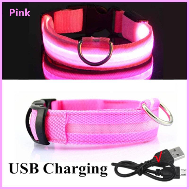 LED Glowing Dog Collar - BestShop