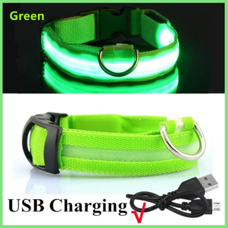 LED Glowing Dog Collar - BestShop