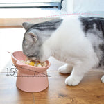Load image into Gallery viewer, Neck Protecting High Tilted Pet Feeding Bowl - BestShop
