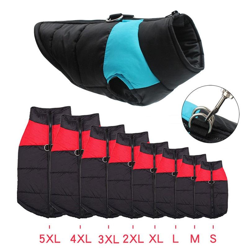Padded Waterproof Pet Zipper Jacket For Dogs - BestShop