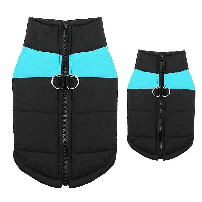 Padded Waterproof Pet Zipper Jacket For Dogs - BestShop