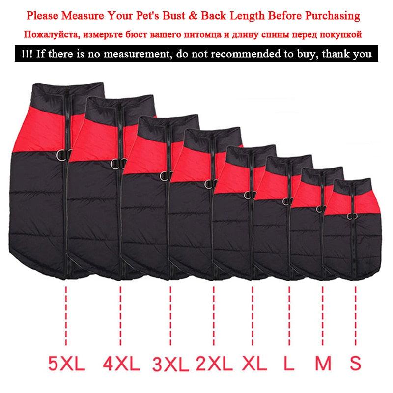 Padded Waterproof Pet Zipper Jacket For Dogs - BestShop