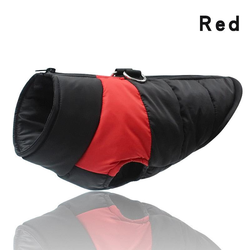 Padded Waterproof Pet Zipper Jacket For Dogs - BestShop