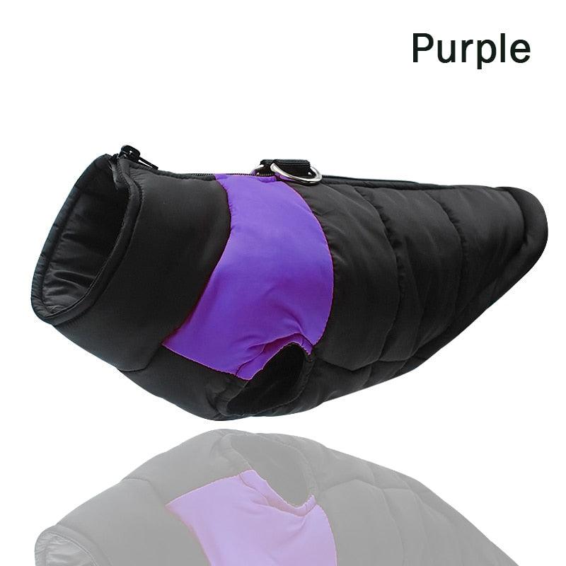 Padded Waterproof Pet Zipper Jacket For Dogs - BestShop