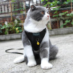 Load image into Gallery viewer, Pet Harness Vest With Bell - BestShop
