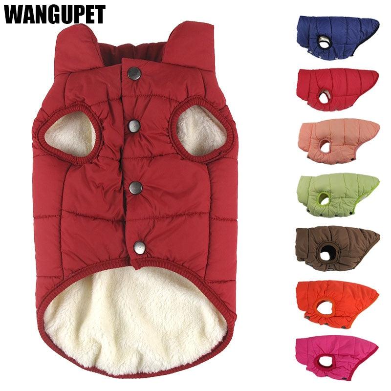 Winter Cotton Padded Pet Coat - BestShop