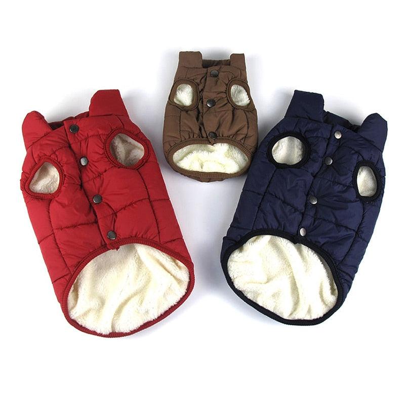 Winter Cotton Padded Pet Coat - BestShop