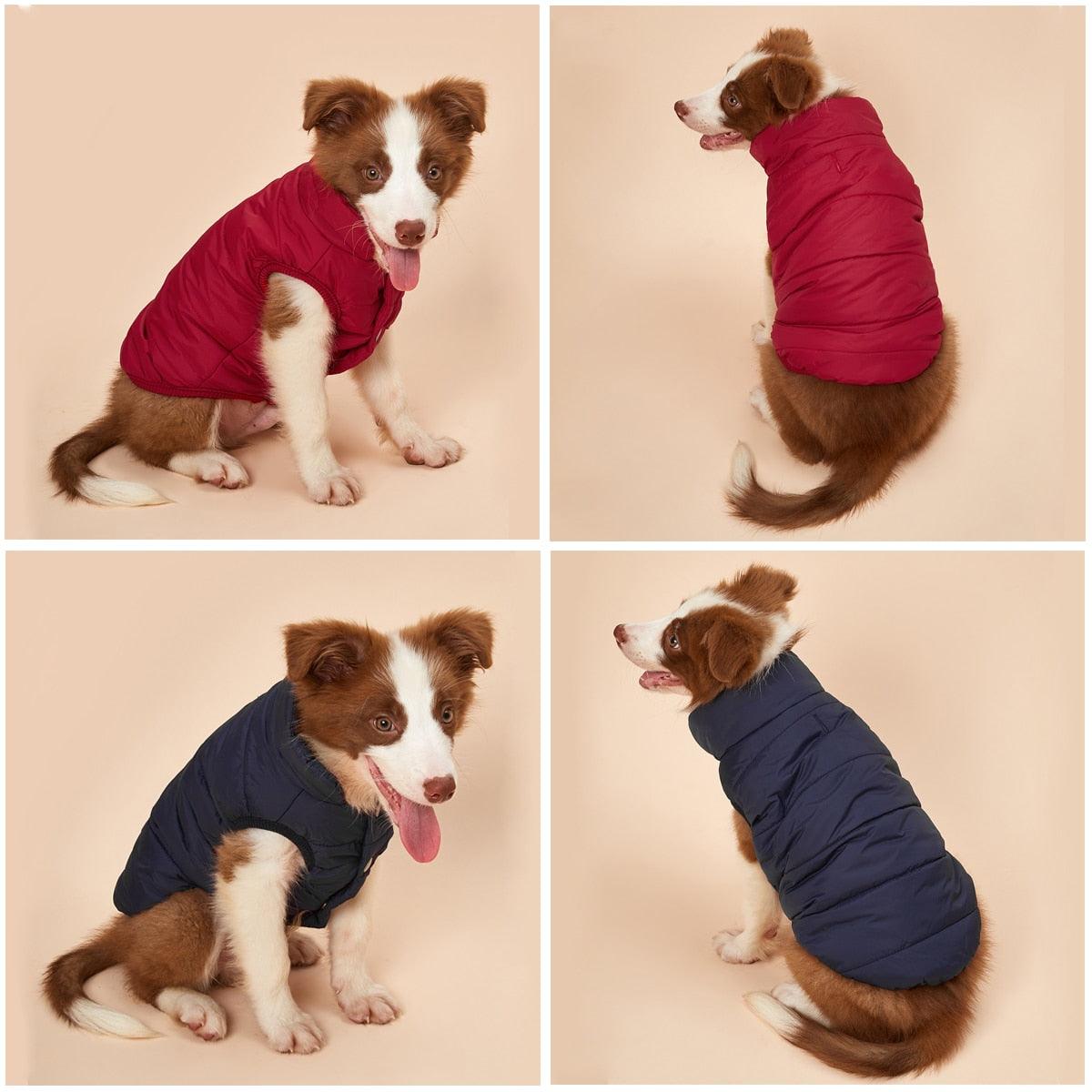 Winter Cotton Padded Pet Coat - BestShop