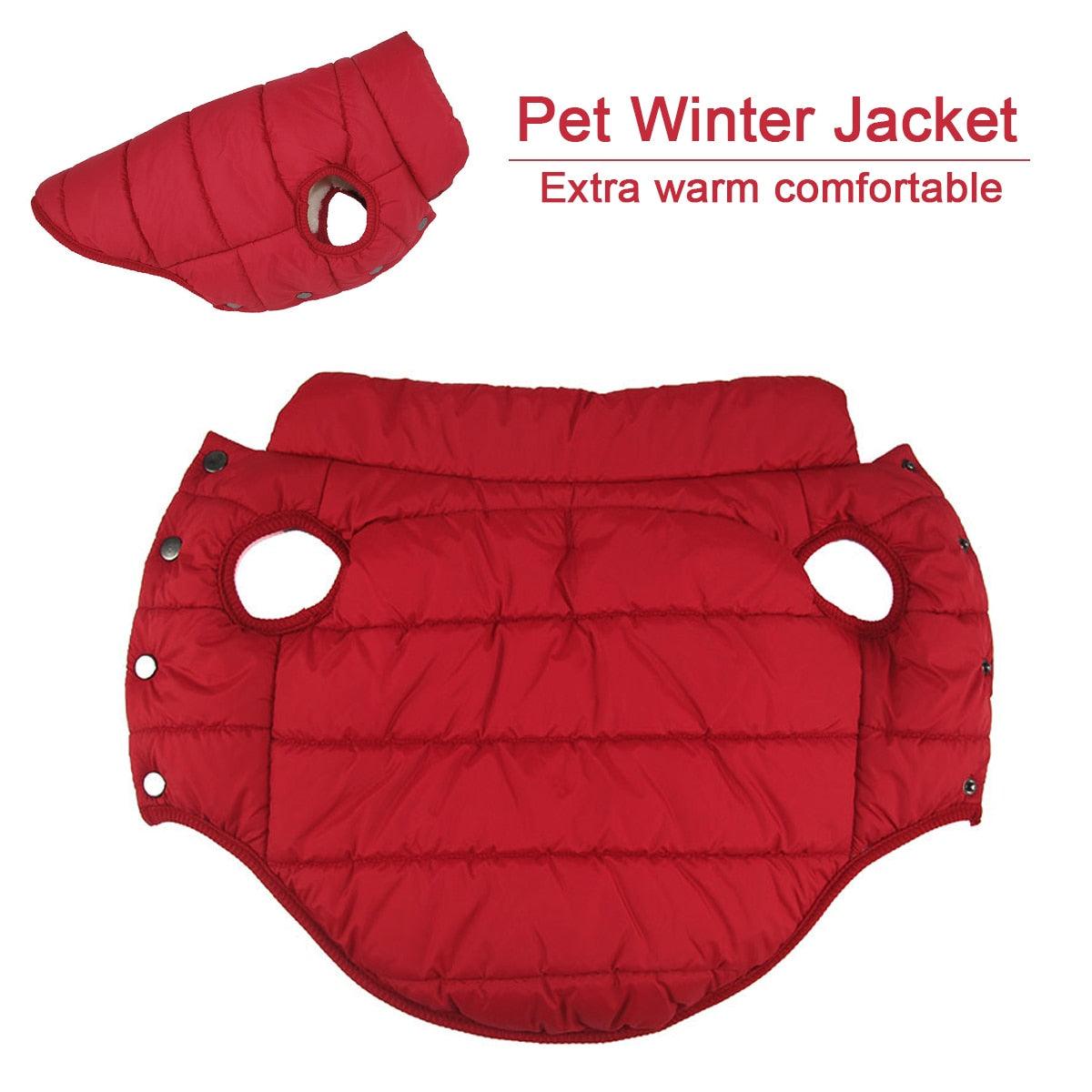 Winter Cotton Padded Pet Coat - BestShop