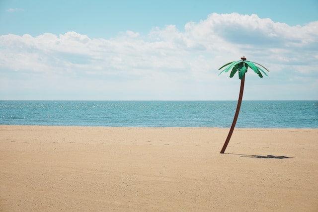 The 5 Best Body Jewlery for Women in 2023 - BestShop