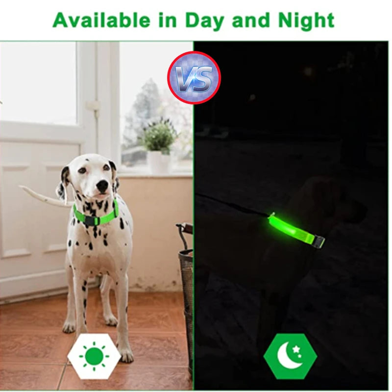 Usb Charging Glowing Dog Collar