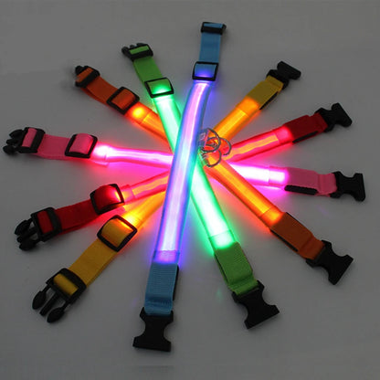 Usb Charging Glowing Dog Collar