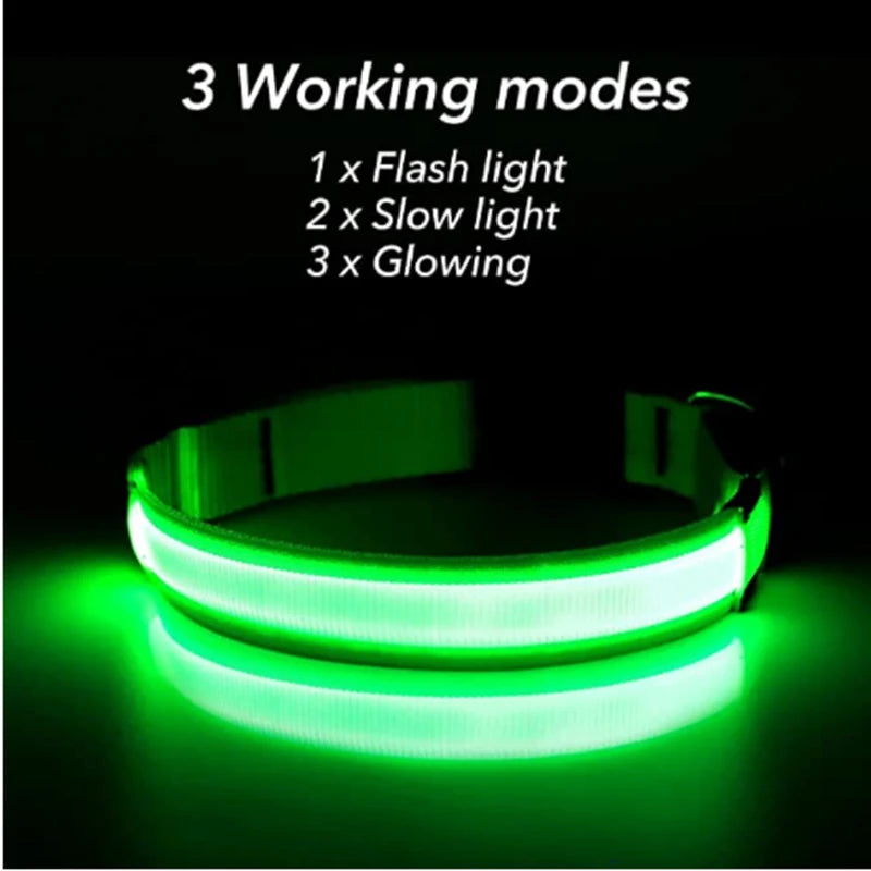 Usb Charging Glowing Dog Collar