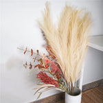 Load image into Gallery viewer, 1pc Artificial Pampas Grass Dried Reed Flowers - BestShop