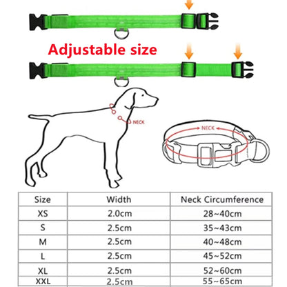 Usb Charging Glowing Dog Collar