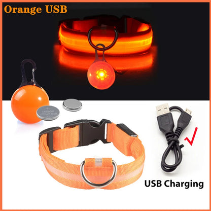 Usb Charging Glowing Dog Collar