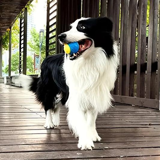Durable Crew Ball Pet Toy