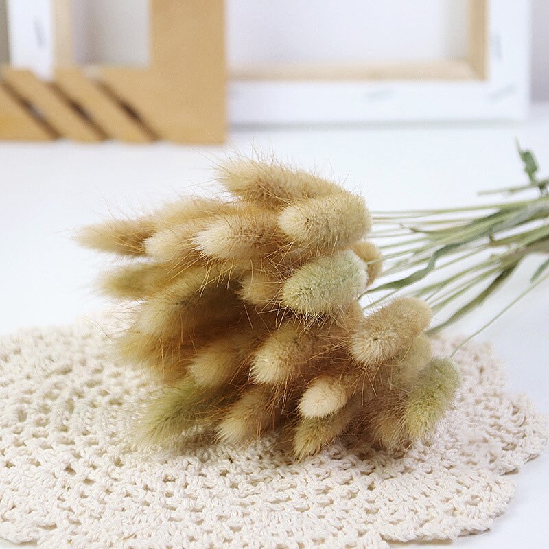 50Pcs Dried Flower Rabbit Tail Bouquet Home Decor - BestShop
