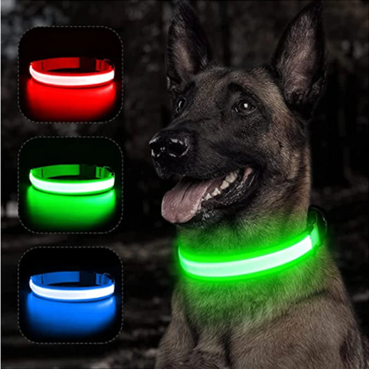 Usb Charging Glowing Dog Collar