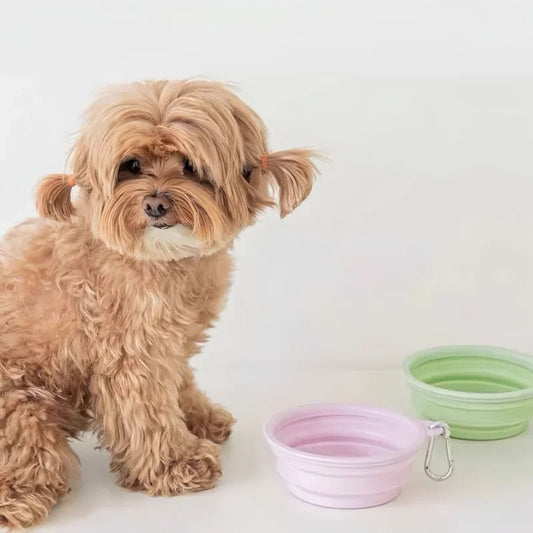 Dog Pet Folding Silicone Bowls