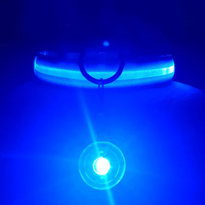 Usb Charging Glowing Dog Collar