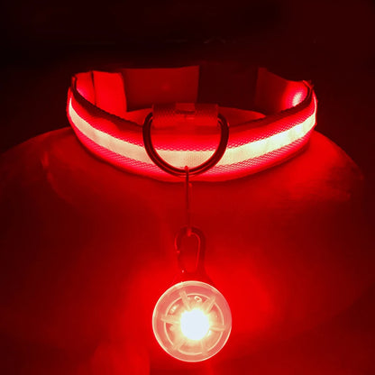Usb Charging Glowing Dog Collar