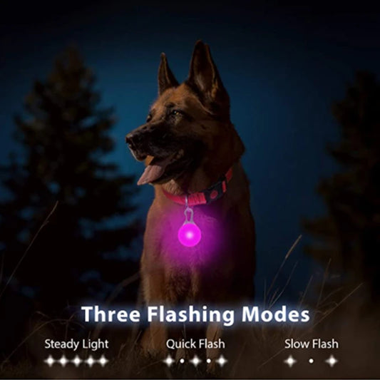 Usb Charging Glowing Dog Collar