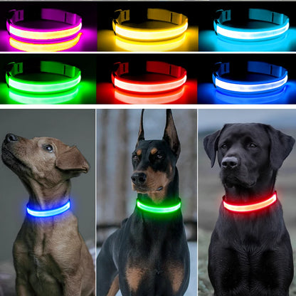 Usb Charging Glowing Dog Collar