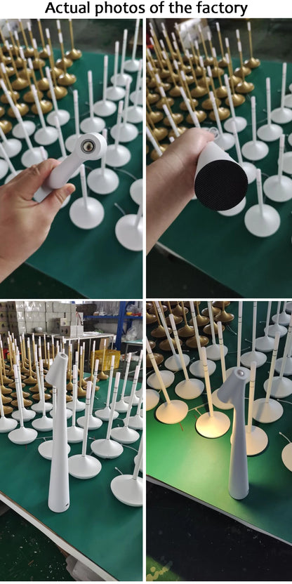 LED Rechargeable Desk Lamp