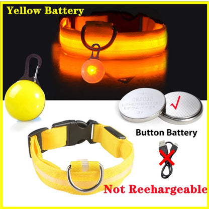 Usb Charging Glowing Dog Collar