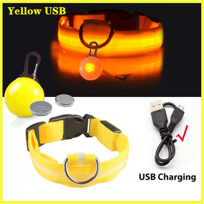 Usb Charging Glowing Dog Collar
