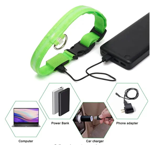Usb Charging Glowing Dog Collar
