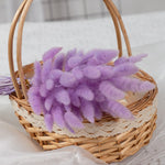 Load image into Gallery viewer, 50Pcs Dried Flower Rabbit Tail Bouquet Home Decor - BestShop