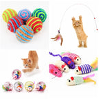 Load image into Gallery viewer, Artificial Feather Colorful Cat Teaser - BestShop
