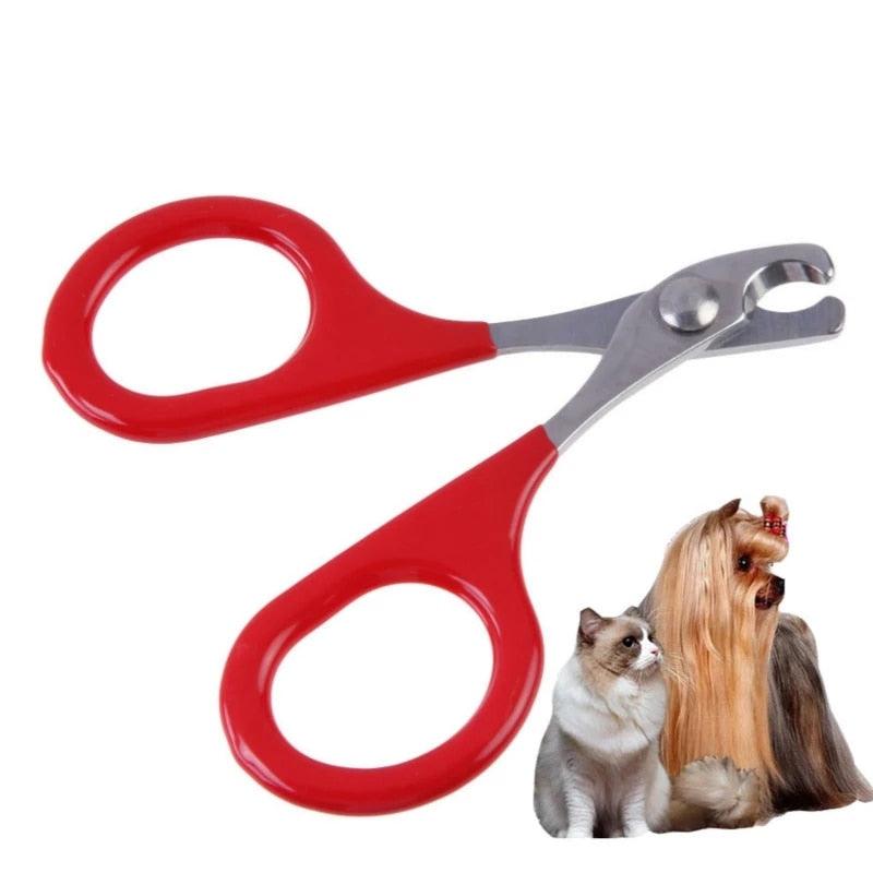 Cat Nail Scissors - BestShop