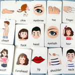 Load image into Gallery viewer, Children Body Awareness Card Early Physical Cognition - BestShop