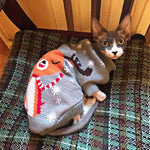 Load image into Gallery viewer, Christmas Pullover Winter Pet Sweater - BestShop