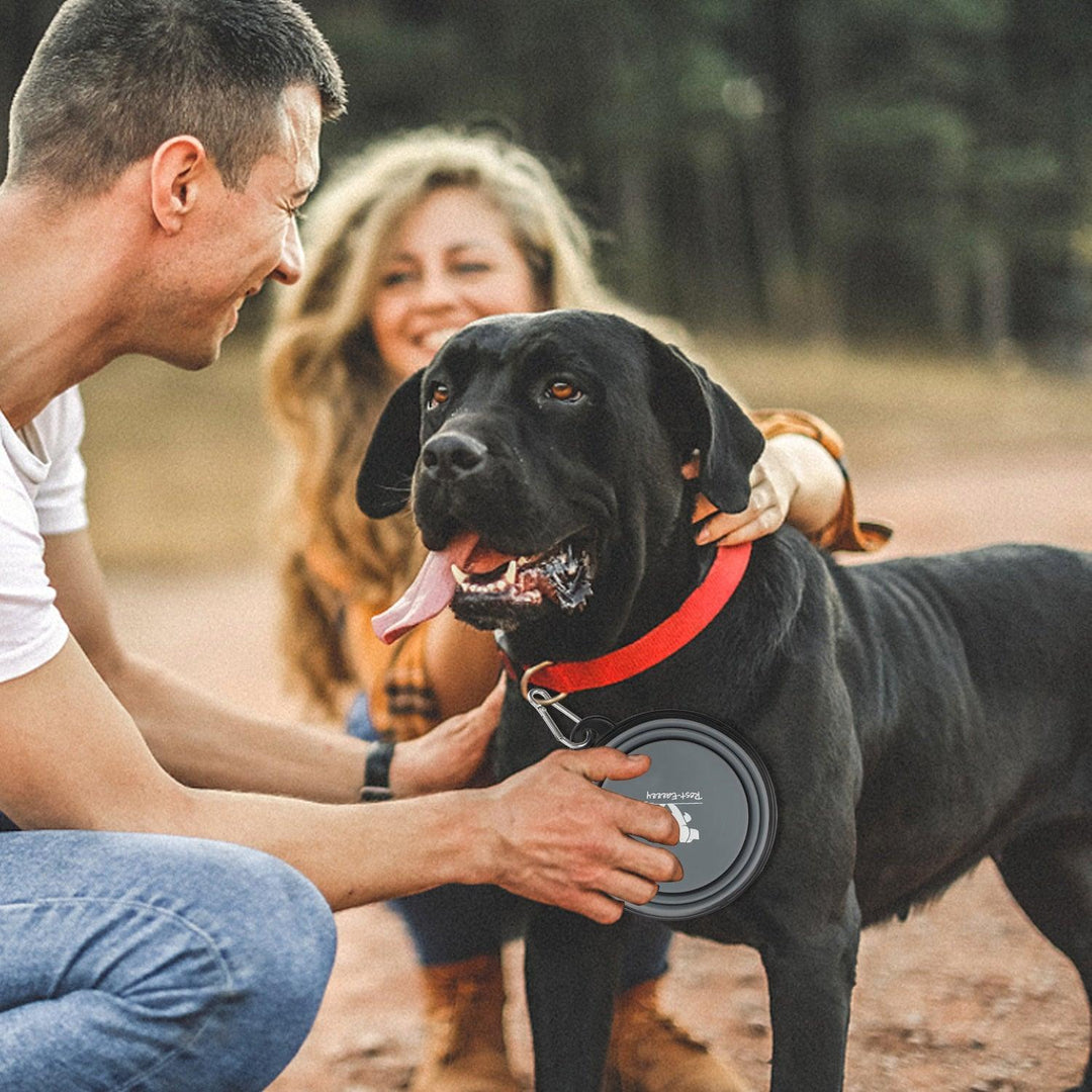 Collapsible Pet Bowls for Travel - BestShop